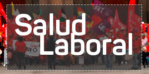Acceder a la sección de SALUD LABORAL