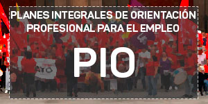 Acceder a la sección de pio