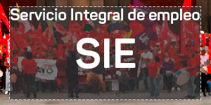 Acceder a la sección de sie