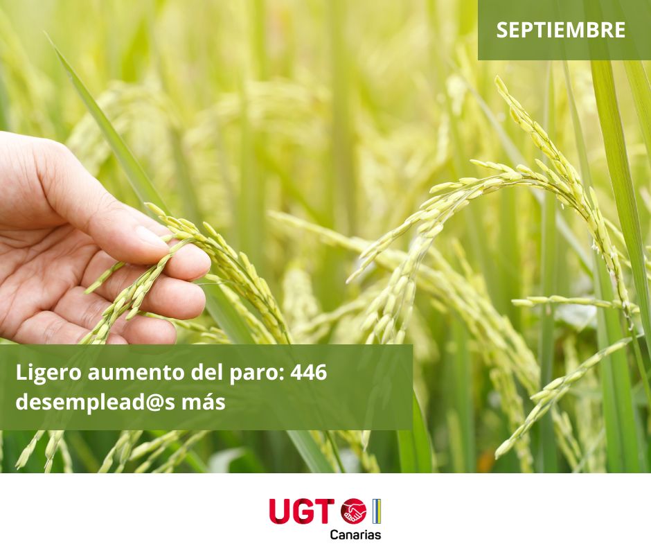 paro septiembre