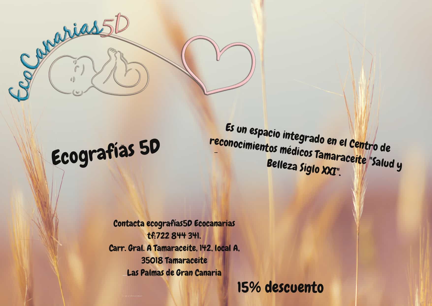 47 ECOCANARIAS5D